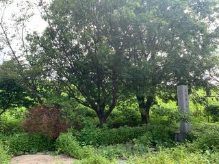 大塚城の登城記録(くーさん)