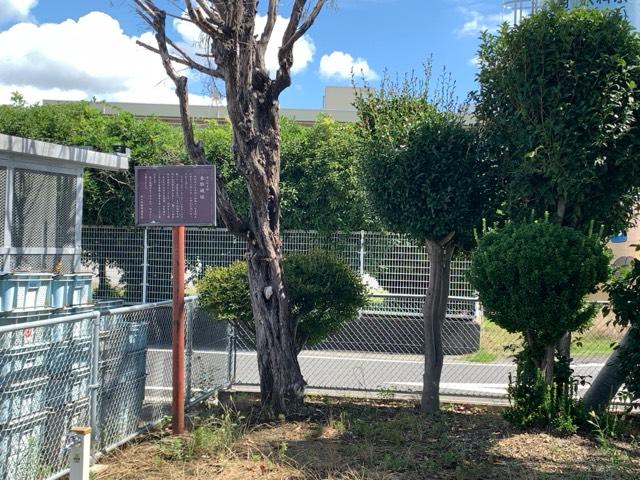 岐阜県安八郡安八町城１丁目 氷取城の写真1