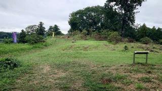 杉山城（初雁城）の登城記録(オカドンさん)