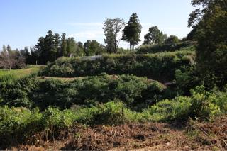 杉山城（初雁城）の登城記録(こにーさん)