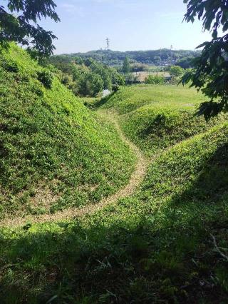 杉山城（初雁城）の登城記録(よっしーさん)