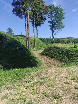 杉山城（初雁城）の登城記録(よっしーさん)