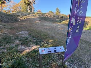 杉山城（初雁城）の登城記録(ミキオさんさん)