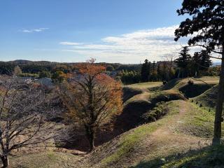 杉山城（初雁城）の登城記録(ミキオさんさん)