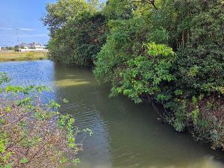 勝端の登城記録(jinさん)