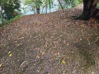 勝端の登城記録(jinさん)