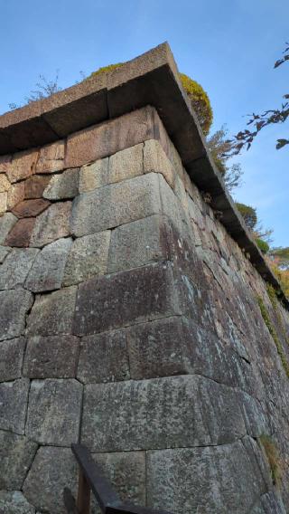 五稜郭の登城記録(ぎゅ～さん)