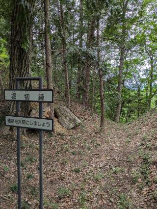 高見城（四津山城）の登城記録(まるさん)