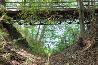 天神山城（白鳥城、根古屋城）の登城記録(こにーさん)