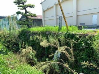 清水城の登城記録(くーさん)