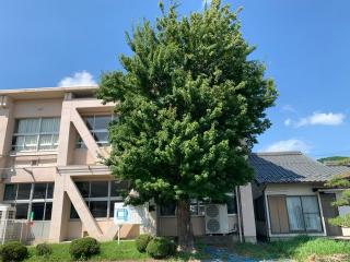 清水城の登城記録(くーさん)