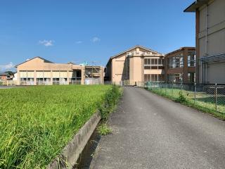 太郎ヶ城の登城記録(くーさん)