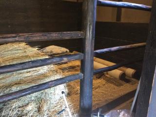 難波田城の登城記録(アキラさん)