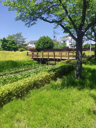 難波田城の登城記録(よっしーさん)