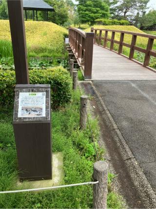 難波田城の登城記録(監督さん)