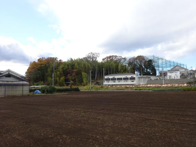 東京都日野市川辺堀之内 川辺堀之内城の写真1