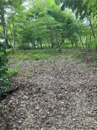 川辺堀之内城の登城記録(監督さん)