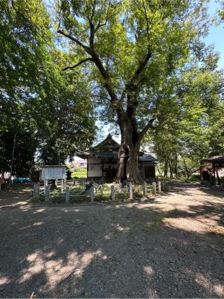 本庄城の登城記録(清正さん)