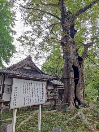 本庄城の登城記録(マリリさん)