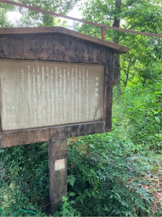 本庄城の登城記録(監督さん)