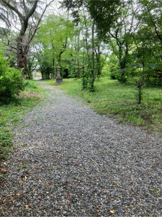 本庄城の登城記録(監督さん)