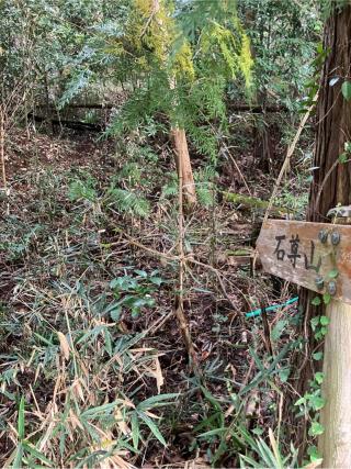 毛呂城（毛呂山城、毛呂氏館、山根城）の登城記録(監督さん)