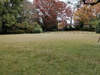 蕨城の登城記録(けいいちさん)