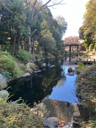 蕨城の登城記録(監督さん)