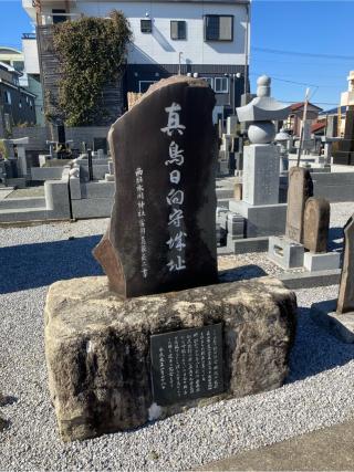 真鳥山城（真鳥日向守城・真鳥城）の登城記録(監督さん)