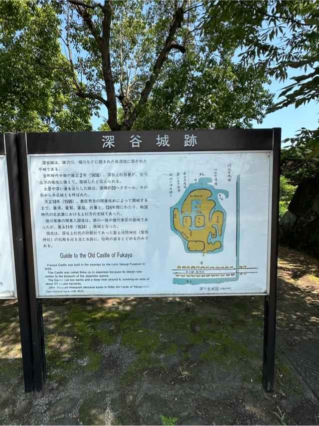 埼玉県深谷市本住町１７ 深谷城（木瓜城）の写真2