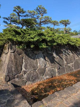 深谷城（木瓜城）の登城記録(まるさん)