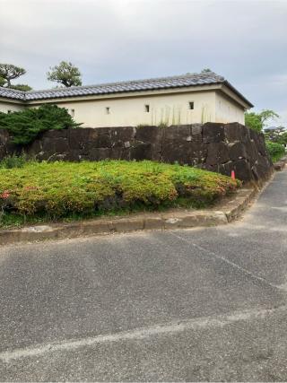 深谷城（木瓜城）の登城記録(監督さん)