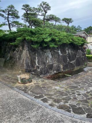 深谷城（木瓜城）の登城記録(監督さん)