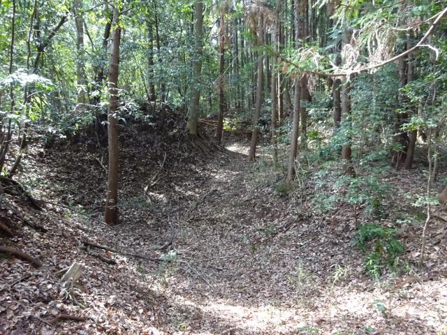 楯の沢砦の写真1