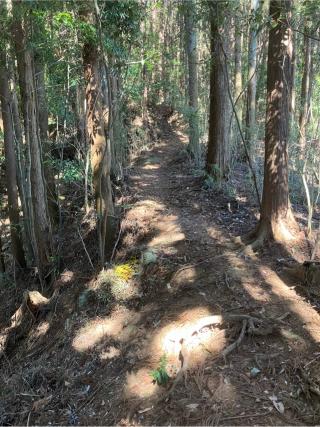 楯の沢砦の登城記録(監督さん)