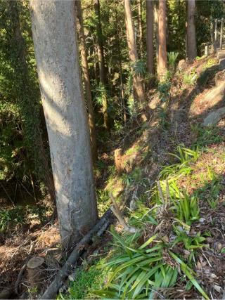 楯の沢砦の登城記録(監督さん)