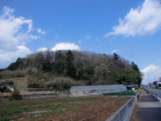 東京都あきる野市伊奈 伊那城（伊奈城）の写真1