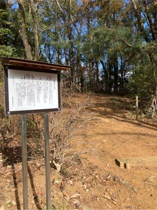 伊那城（伊奈城）の登城記録(監督さん)