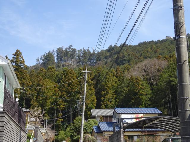 東京都青梅市二俣尾 枡形山城（枡形城）の写真1