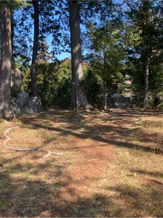 枡形山城（枡形城）の登城記録(監督さん)