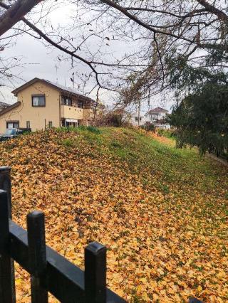 法林寺館の登城記録(マリリさん)