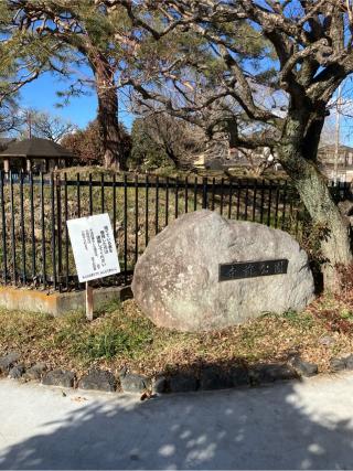 法林寺館の登城記録(監督さん)