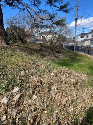 法林寺館の登城記録(監督さん)