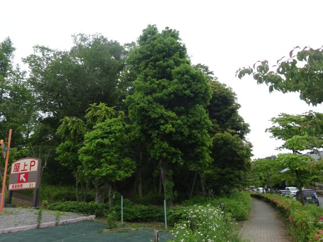 出羽山（出羽山城）の写真1