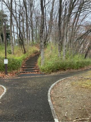 出羽山（出羽山城）の登城記録(監督さん)