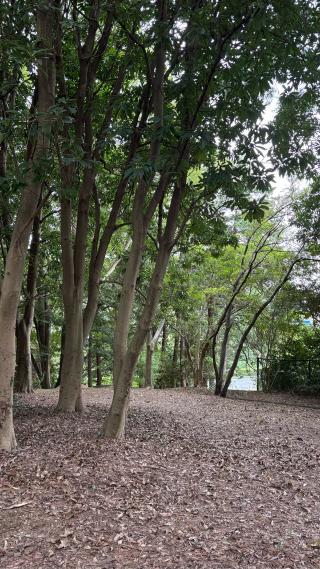 沖山の塁の登城記録(みねさん)