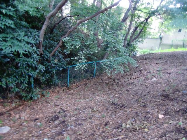 東京都板橋区四葉2 沖山の塁の写真1