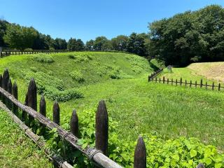 鉢形城の登城記録(花宵さん)