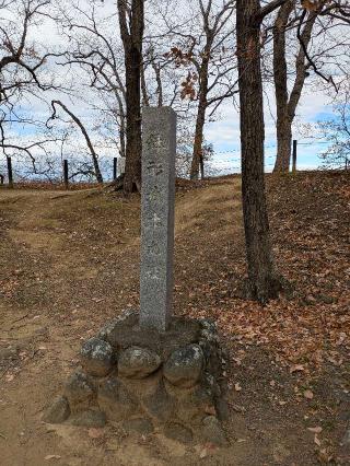 鉢形城の登城記録(まるさん)
