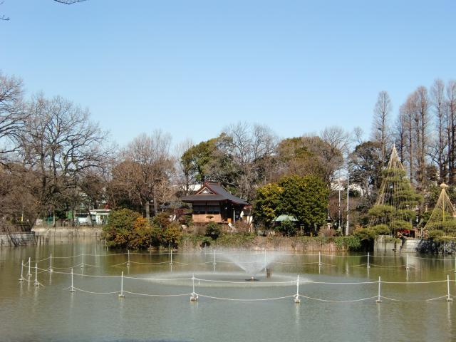 東京都目黒区碑文谷5丁目14-14 碑文谷殿山の写真1